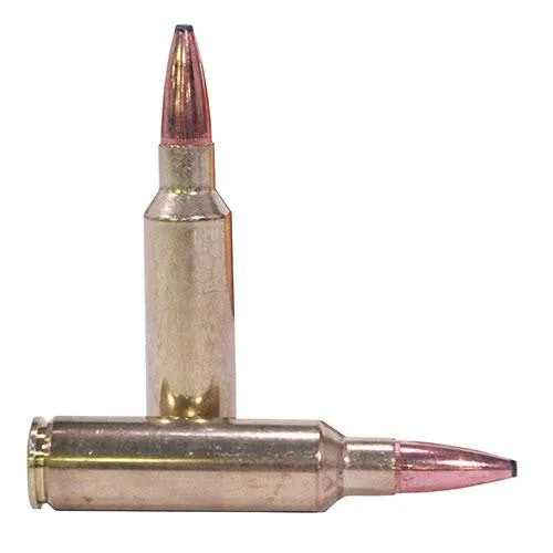 300 Winchester Short Magnum - Fusion, 165 Grains, Spitzer Boat Tail, Per 20