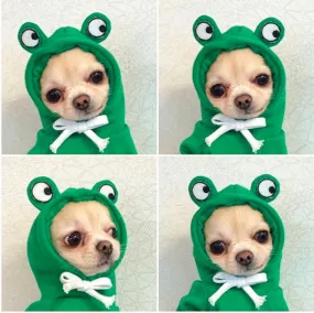 Adorable Froggy Dog or Cat Autumn And Winter Sweater