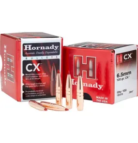 HORNADY .243 6MM CAL 100 GRAIN BTSP INTERLOCK PROJECTILES 100 PACK