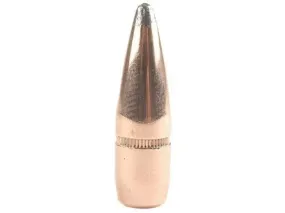 Hornady .308 180gr BTSP 100pk