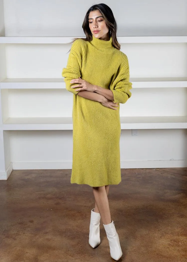 Sandra Turtleneck Sweater Dress *** FINAL SALE ***