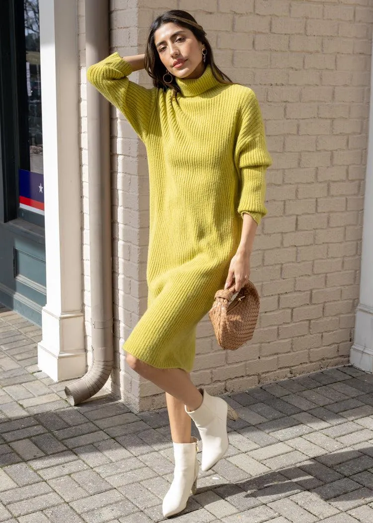 Sandra Turtleneck Sweater Dress *** FINAL SALE ***