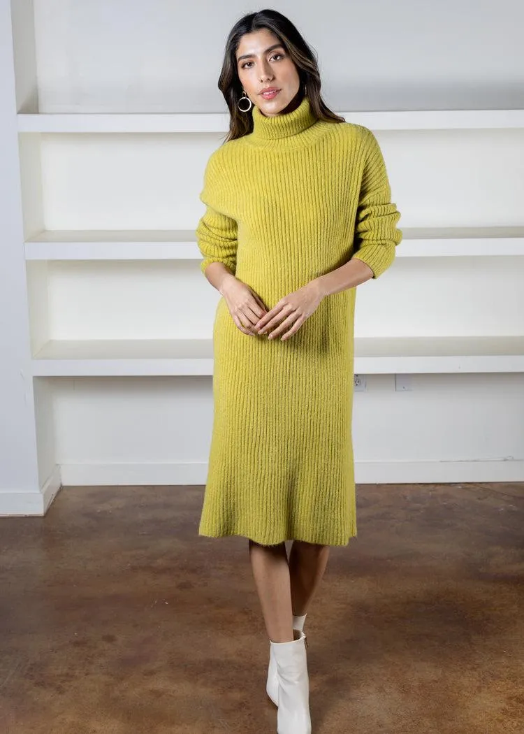 Sandra Turtleneck Sweater Dress *** FINAL SALE ***